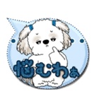 シーズー犬 2025 「カラフルな吹き出し」（個別スタンプ：37）