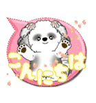 B＆W シーズー犬「カラフルな吹き出し」（個別スタンプ：2）
