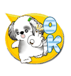 B＆W シーズー犬「カラフルな吹き出し」（個別スタンプ：3）