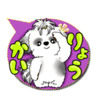 B＆W シーズー犬「カラフルな吹き出し」（個別スタンプ：4）
