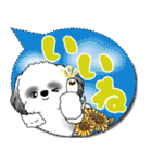 B＆W シーズー犬「カラフルな吹き出し」（個別スタンプ：7）
