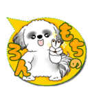 B＆W シーズー犬「カラフルな吹き出し」（個別スタンプ：8）