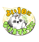 B＆W シーズー犬「カラフルな吹き出し」（個別スタンプ：9）