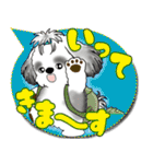 B＆W シーズー犬「カラフルな吹き出し」（個別スタンプ：10）