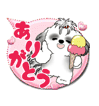 B＆W シーズー犬「カラフルな吹き出し」（個別スタンプ：12）