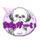 B＆W シーズー犬「カラフルな吹き出し」（個別スタンプ：15）