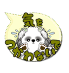 B＆W シーズー犬「カラフルな吹き出し」（個別スタンプ：19）