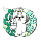 B＆W シーズー犬「カラフルな吹き出し」（個別スタンプ：20）