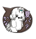 B＆W シーズー犬「カラフルな吹き出し」（個別スタンプ：22）