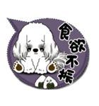 B＆W シーズー犬「カラフルな吹き出し」（個別スタンプ：26）