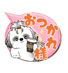 B＆W シーズー犬「カラフルな吹き出し」（個別スタンプ：27）