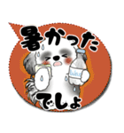 B＆W シーズー犬「カラフルな吹き出し」（個別スタンプ：28）