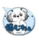B＆W シーズー犬「カラフルな吹き出し」（個別スタンプ：37）