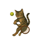 色んなテニス猫（個別スタンプ：36）