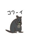 パディはパディメロン（個別スタンプ：8）