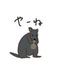 パディはパディメロン（個別スタンプ：9）