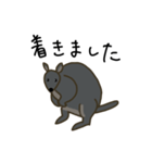 パディはパディメロン（個別スタンプ：13）