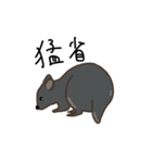 パディはパディメロン（個別スタンプ：30）