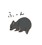 パディはパディメロン（個別スタンプ：34）
