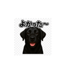 ラブラドール・レトリバー-黒2（個別スタンプ：32）