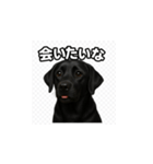 ラブラドール・レトリバー-黒2（個別スタンプ：34）
