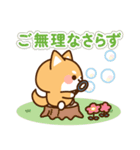 とびだす！しばたろうの敬語スタンプ（個別スタンプ：13）