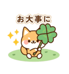 とびだす！しばたろうの敬語スタンプ（個別スタンプ：14）