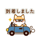 とびだす！しばたろうの敬語スタンプ（個別スタンプ：23）
