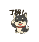 黒柴ナナちゃんの日常（個別スタンプ：8）
