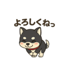 黒柴ナナちゃんの日常（個別スタンプ：12）