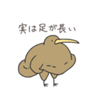 とにかくふざけているキーウィ3(再)（個別スタンプ：21）