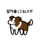 いつでも使えるボーダーコリー（茶白）（個別スタンプ：6）