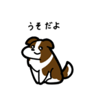 いつでも使えるボーダーコリー（茶白）（個別スタンプ：12）