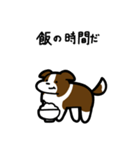 いつでも使えるボーダーコリー（茶白）（個別スタンプ：21）