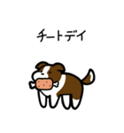 いつでも使えるボーダーコリー（茶白）（個別スタンプ：22）