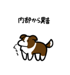 いつでも使えるボーダーコリー（茶白）（個別スタンプ：27）