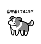 いつでも使えるボーダーコリー（灰白）（個別スタンプ：6）