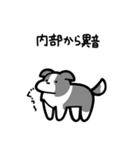 いつでも使えるボーダーコリー（灰白）（個別スタンプ：27）