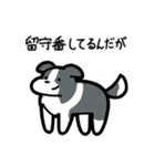 いつでも使えるボーダーコリー（青白）（個別スタンプ：6）