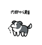 いつでも使えるボーダーコリー（青白）（個別スタンプ：27）