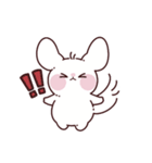 チンチラのチーズ（個別スタンプ：29）