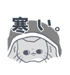 ふてぶてぬこ（個別スタンプ：17）