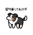 いつでも使えるボーダーコリー（3色）（個別スタンプ：6）