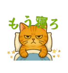 ふてぶてしいネコ、ツンデレネコ 冬（個別スタンプ：1）