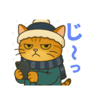 ふてぶてしいネコ、ツンデレネコ 冬（個別スタンプ：11）