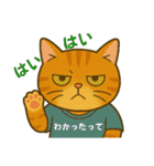 ふてぶてしいネコ、ツンデレネコ 冬（個別スタンプ：12）