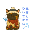 ふてぶてしいネコ、ツンデレネコ 冬（個別スタンプ：19）