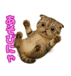 キモブサカワ7(スコ)（個別スタンプ：7）