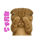 キモブサカワ7(スコ)（個別スタンプ：9）