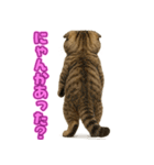 キモブサカワ7(スコ)（個別スタンプ：16）